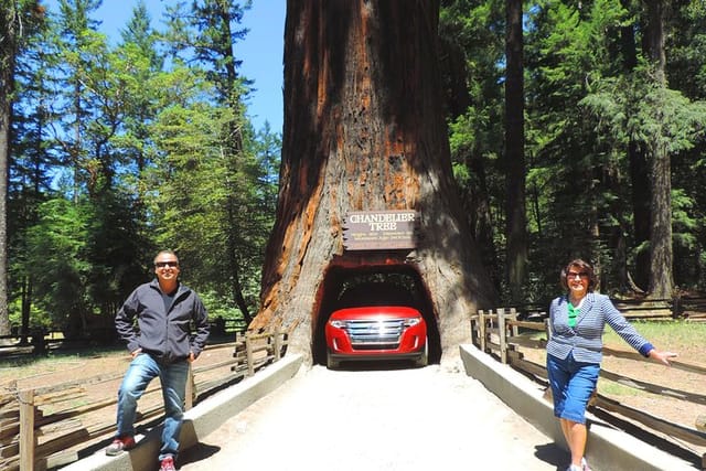 Avenue of the giants redwoods private 2-day tour  - Photo 1 of 20